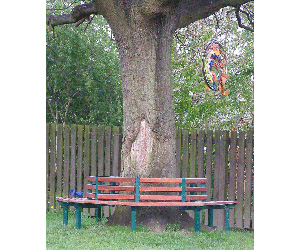 outdoor-seating-benches-around-tree